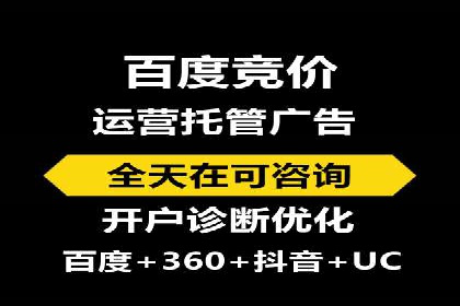SEM托管服务案例：实现品牌价值最大化